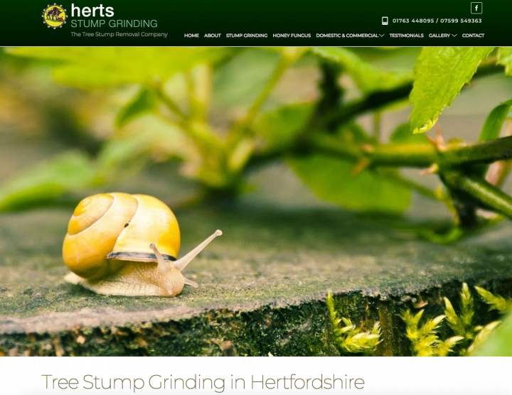 Herts Stump Removal Professional Tree Stump Grinding & Removal